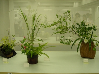 c0076141_19502642.jpg