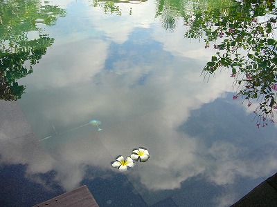 f0056250_132244.jpg