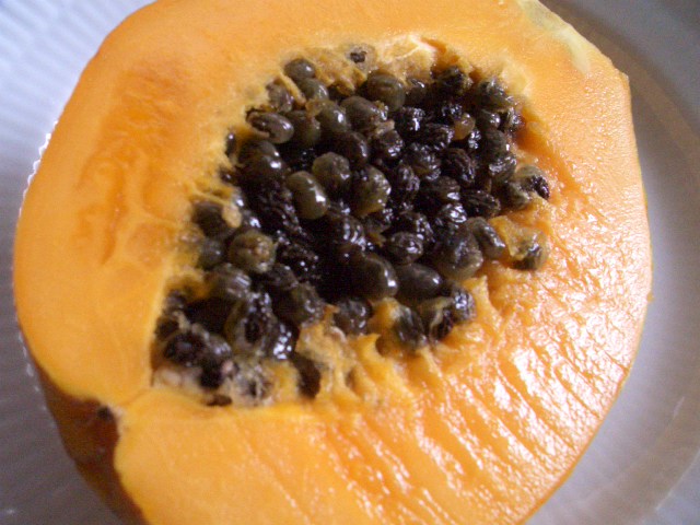 f0009451_8145362.jpg