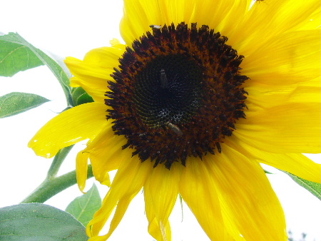 b0015260_14342021.jpg