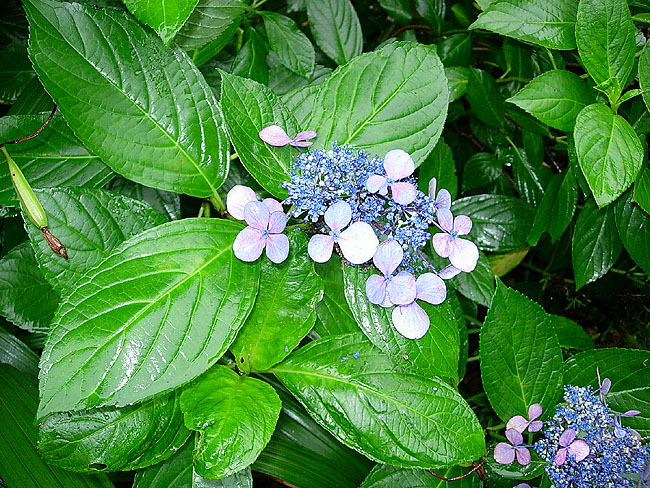 b0053660_14512045.jpg