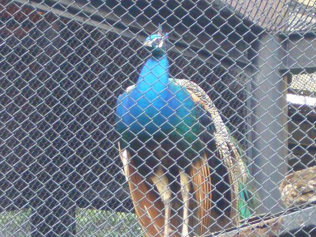 b0095760_233348100.jpg