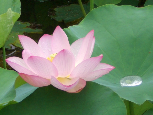 b0095760_23364626.jpg
