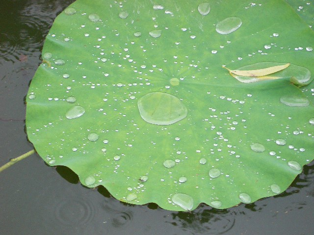 b0095760_23421749.jpg