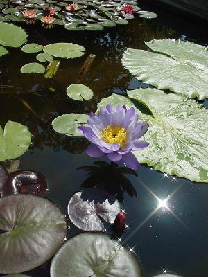 f0029365_23125042.jpg