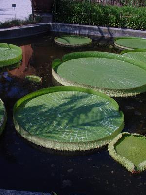 f0029365_2316142.jpg