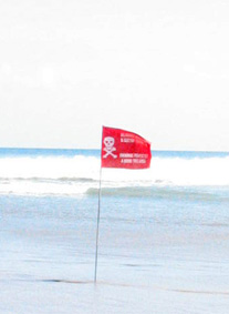 e0038669_015916.jpg
