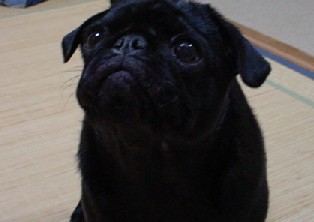 f0014371_1218477.jpg