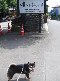 b0090478_14305050.jpg