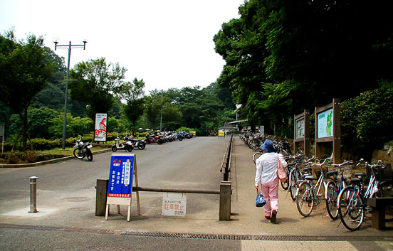 c0009981_963135.jpg