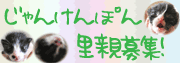f0081594_14541254.gif
