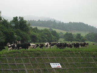 c0077697_16593387.jpg