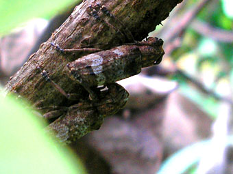 e0083097_22424699.jpg