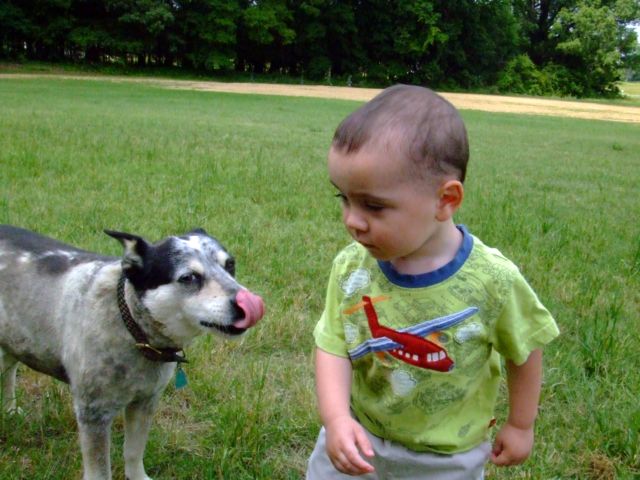 c0062603_1321317.jpg