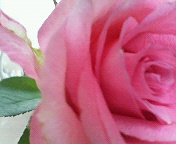 e0040804_16351523.jpg