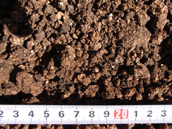 e0024206_20412518.jpg