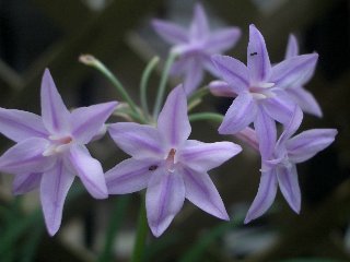 b0061107_23352789.jpg