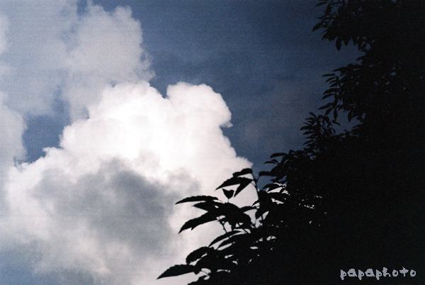 f0041908_15151424.jpg