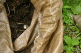 c0050419_2133153.jpg