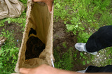 c0050419_21333520.jpg