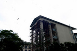 c0050419_21345574.jpg