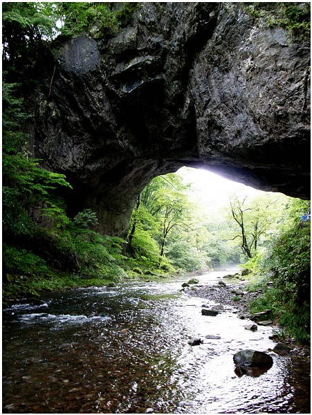 c0042324_22342257.jpg
