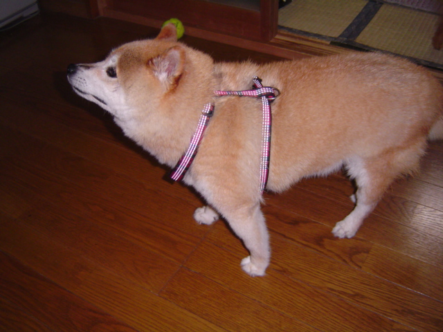 f0012924_22513484.jpg