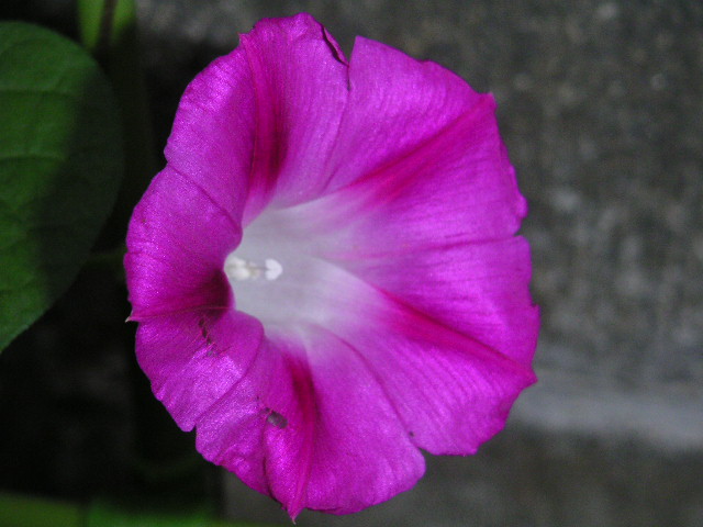 a0020929_17432877.jpg