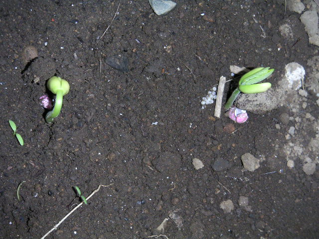 a0020929_17501033.jpg