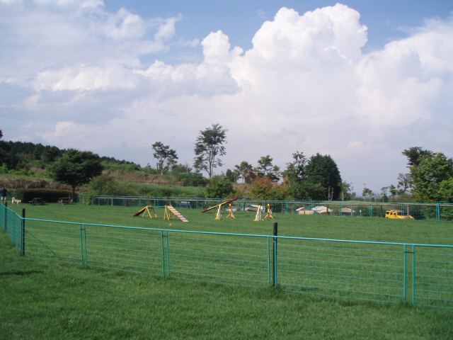 c0035931_2128573.jpg