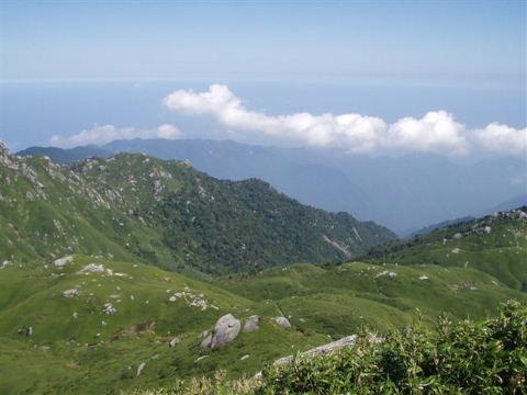 d0075131_2334621.jpg