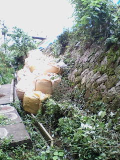 f0071731_1805769.jpg