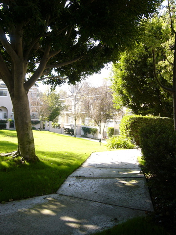 f0045433_23553391.jpg