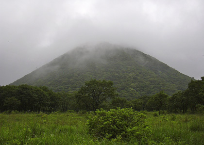 a0001354_1946547.jpg