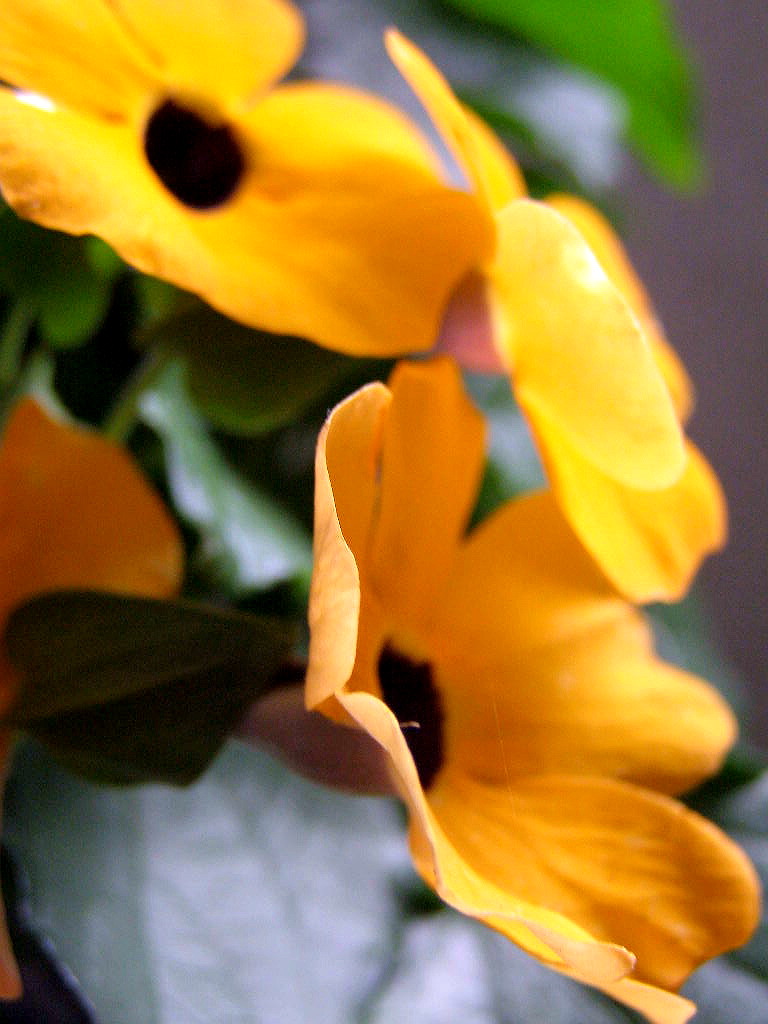 e0064158_021791.jpg