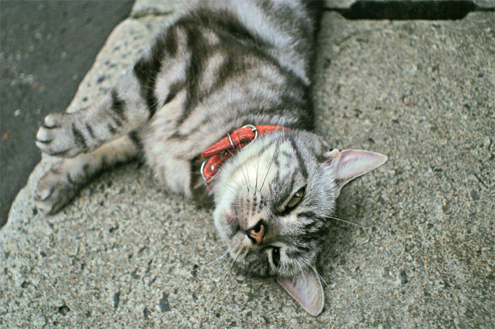 e0002371_15554100.jpg