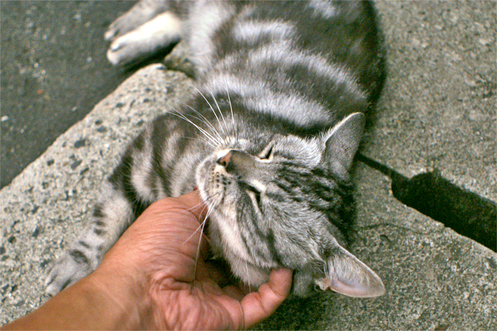 e0002371_1561051.jpg