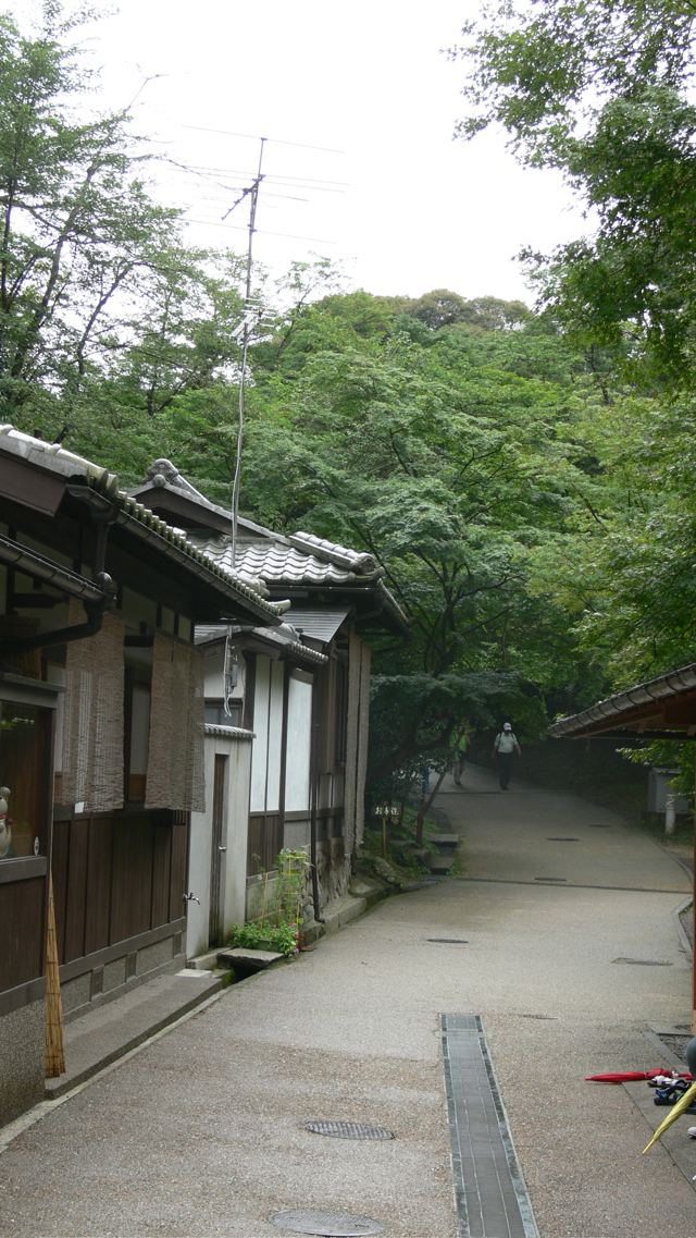 a0018572_22472572.jpg