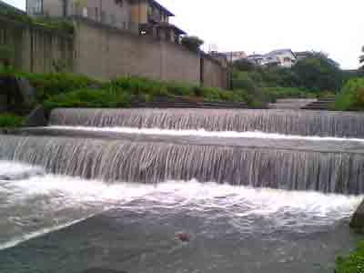 c0017802_153815.jpg