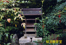 f0017409_180416.jpg