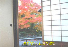 f0017409_187037.jpg