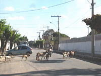 e0028810_3105896.jpg