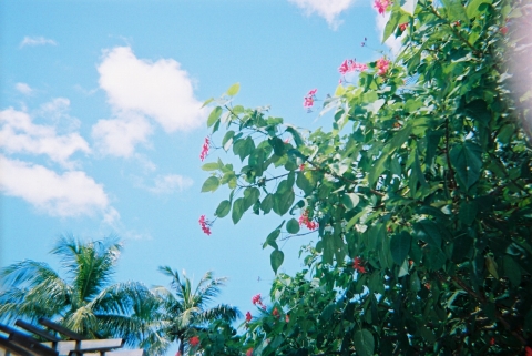 a0000014_23221327.jpg