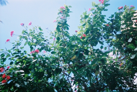 a0000014_23234213.jpg