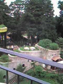 a0048014_910277.jpg