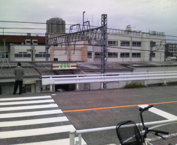 a0077616_926299.jpg