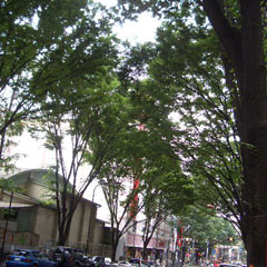 c0036617_1744760.jpg