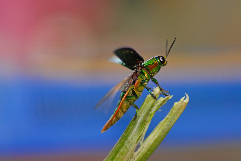 f0049152_1315358.jpg