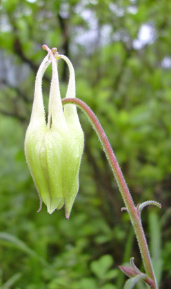 a0001354_19025.jpg