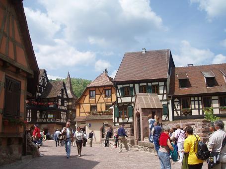 d0046772_7354972.jpg